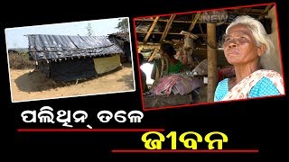 କେବେ ଫେରିବ ସ୍ୱାଭାବିକ ପରିସ୍ଥିତି,କେବେ ସୁଧୁରିବ ଜୀବନ || Knews Odisha