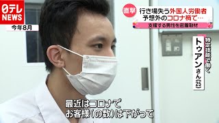 “求人はほぼゼロ” 「新型コロナ」で行き場失う外国人労働者（2020年11月14日放送「news every.」より）