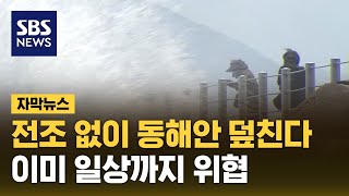 전조 없이 동해안 덮친다…이미 일상까지 위협 (자막뉴스) / SBS