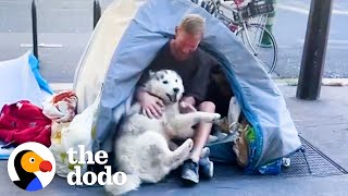 Husky Becomes Obsessed With Man Living On The Street In Paris | The Dodo