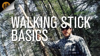 Walking Stick Basics