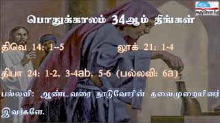 பொதுக்காலம் 34ஆம் வாரம் திங்கள் வாசகங்கள் | இரண்டாம் ஆண்டு | மறைத்திரு. அமிர்தராச சுந்தர் ஜா.