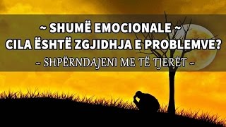 CILA ËSHTË ZGJIDHJA E PROBLEMEVE? - HALID RASHID