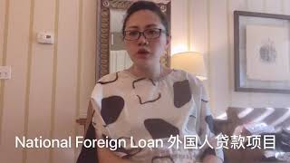 Foreigner National Loan 外国人贷款项目