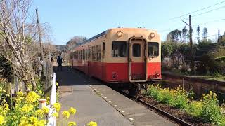 【小湊鐵道】キハ200系養老渓谷駅発車シーン