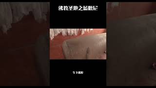 佛教四大聖地之——藍毗尼 佛陀出生之地！