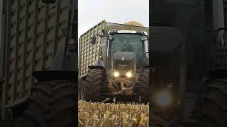 Fendt Vario 936 Black Beauty mit Kaweco Radium 50 am Mais abfahren #fendt