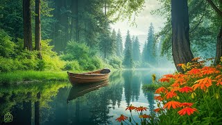 Calming Music for the Soul - Relaxation, Deep Sleep, Stress Relief, Peaceful Piano Music #2