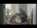 You Are Not Alone | Dogs Inc PSA for Service Dogs for Veterans