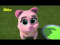 Bingo y Rolly: ¡A jugar! | Disney Junior Oficial