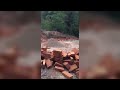 construction of a wudang kungfu school s qigong platform