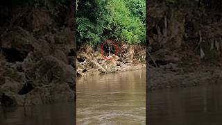 perhatikan spot mancing nya ngeri juga‼️berada di pinggiran hutan yg terlihat angker#angler_pembrani