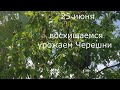 САДОВОДЫ И ОГОРОДНИКИ у кого на участке ЛЭП будьте бдительны без предупреждения лишитесь всего.