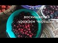 САДОВОДЫ И ОГОРОДНИКИ у кого на участке ЛЭП будьте бдительны без предупреждения лишитесь всего.