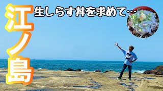 夏の江ノ島を観光2024年！生しらす丼を食べてきた！