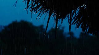 Gentle Rain on Forest for Sleeping, Relaxing | Rain Sounds For Insomnia Symptoms