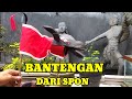 CARA MEMBUAT BANTENGAN MAYANGKORO DARI SPON