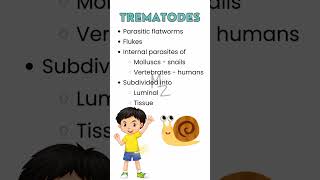 What are trematodes? #parasitology #trendingshorts #flatworm #medzukhruf #microbiology