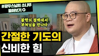 간절한 기도의 신비한 힘 [초심으로 돌아가는 광우스님의 소나무 시즌3 몰아보기]