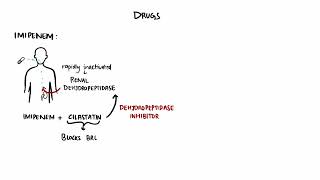 Carbapenems || Pharmacology