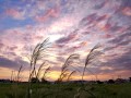 空焼けて始まる秋の日　深谷通信所跡地