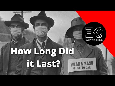 How long did the influenza pandemic last?