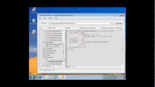 VB Decompiler P-Code VB6 File Decompilation