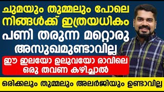 ചുമയും തുമ്മലും അലർജിയും മാറാൻ ഈ ഇലയോ ഉലുവയോ രാവിലെ ഒരു തവണ കഴിച്ചാൽ മതി |allergy maran malayalam