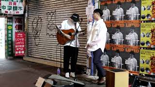 Busking旺角西洋菜街@留下來的人~娛樂人生~春秋~櫻花樹下-Cover|20230206