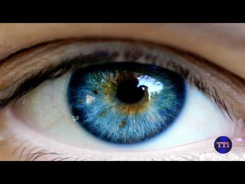 How To Change Eye Color with Adobe Photoshop CS5 How To Change Eye Color with Adobe Photoshop CS5