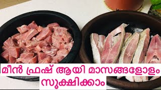 മീൻ ഫ്രഷ് ആയി മാസങ്ങളോളം സൂക്ഷിക്കാം/How to store Fresh Fish in Freezer for long time use.