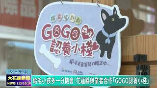 20241016 06 給毛小孩多一分機會！花蓮縣與業者合作「GOGO認養小棧」