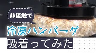 【吸着ってみた】冷凍ハンバーグ【コンバム】