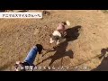 【イタグレ⑤】覚えた事をいろんな場所で練習し精度を上げます