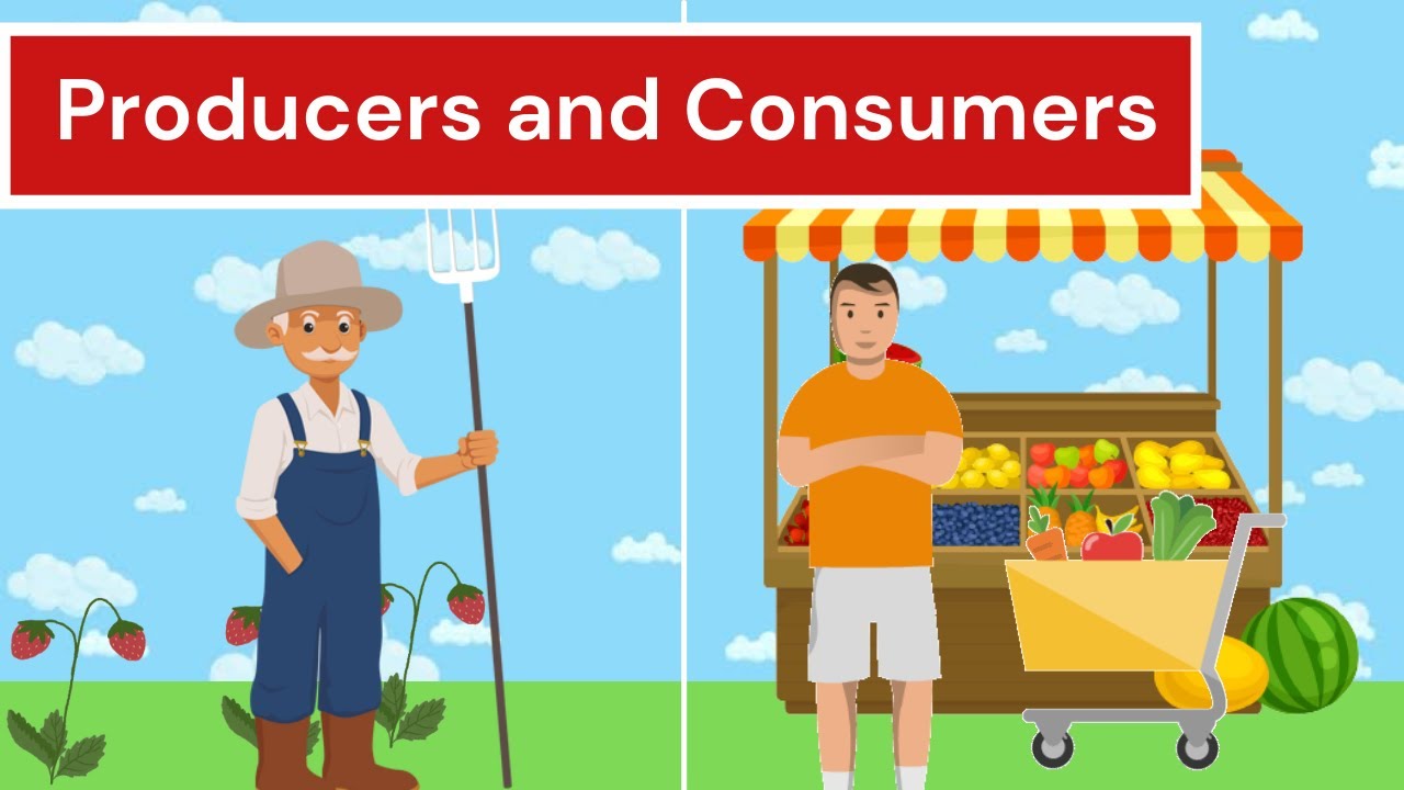 What The Difference Between Producers Consumers And Decomposers Free