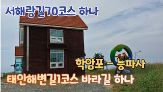 태안 해변길 1코스바라길 하나 학암포-능파사 서해랑길70코스 하나 210804  Taean Beach road. Baragil