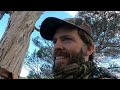 snake island hog deer hunt australia