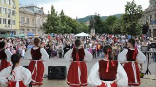 HUNYAD MEGYEI MAGYAR NAPOK 2014 - ZILELE MAGHIARE DIN JUDETUL HUNEDOARA