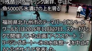 「残酷」スケートリンク謝罪、中止に　魚5000匹氷漬けの上を滑る