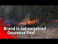 Er woedt een grote brand in natuurgebied de Mariapeel