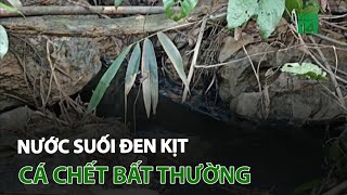 Thanh Hóa: Nước suối đen kịt cá chết bất thường | VTC14