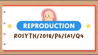 PSLE SCIENCE MADE SIMPLE EP80 | Reproduction | Which Flower Parts Will Develop Into A Fruit? 🌸