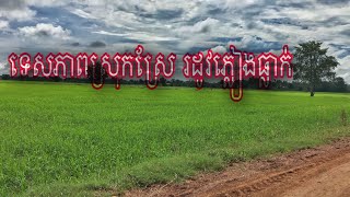 ទេសភាព​ស្រុកស្រែ​ រដូវ​ភ្លៀង​ធ្លាក់​ Cambodia IN Battambang Landscape of the rainy season.