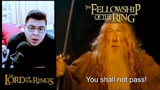 Harry Potter Fans Watching The Lord Of The Rings: The Fellowship Of The Ring. Reaction part 2.