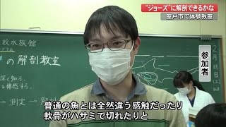 廃校水族館でサメを解剖『まるっとむろと体験博』で「驚きの連続でした」【高知】 (23/02/20 19:20)