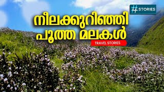 ഇനിയും പോയില്ലെങ്കിൽ നഷ്ടം |  ഈ വ്യൂ പോയിൻ്റ്   | Bodimettu - Pooppara | FOURTH STORIES |