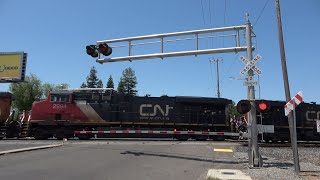 UP 8972 Intermodal With Two CN's South, 14th Ave. Railroad Crossing, Sacramento CA