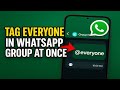 Tag everyone in WhatsApp group at once