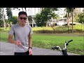 liow video brompton u0026 liaoge451 ride 小布与辽哥451骑行