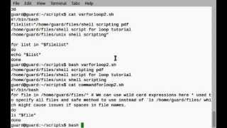 Bash shell script for loop – How it works